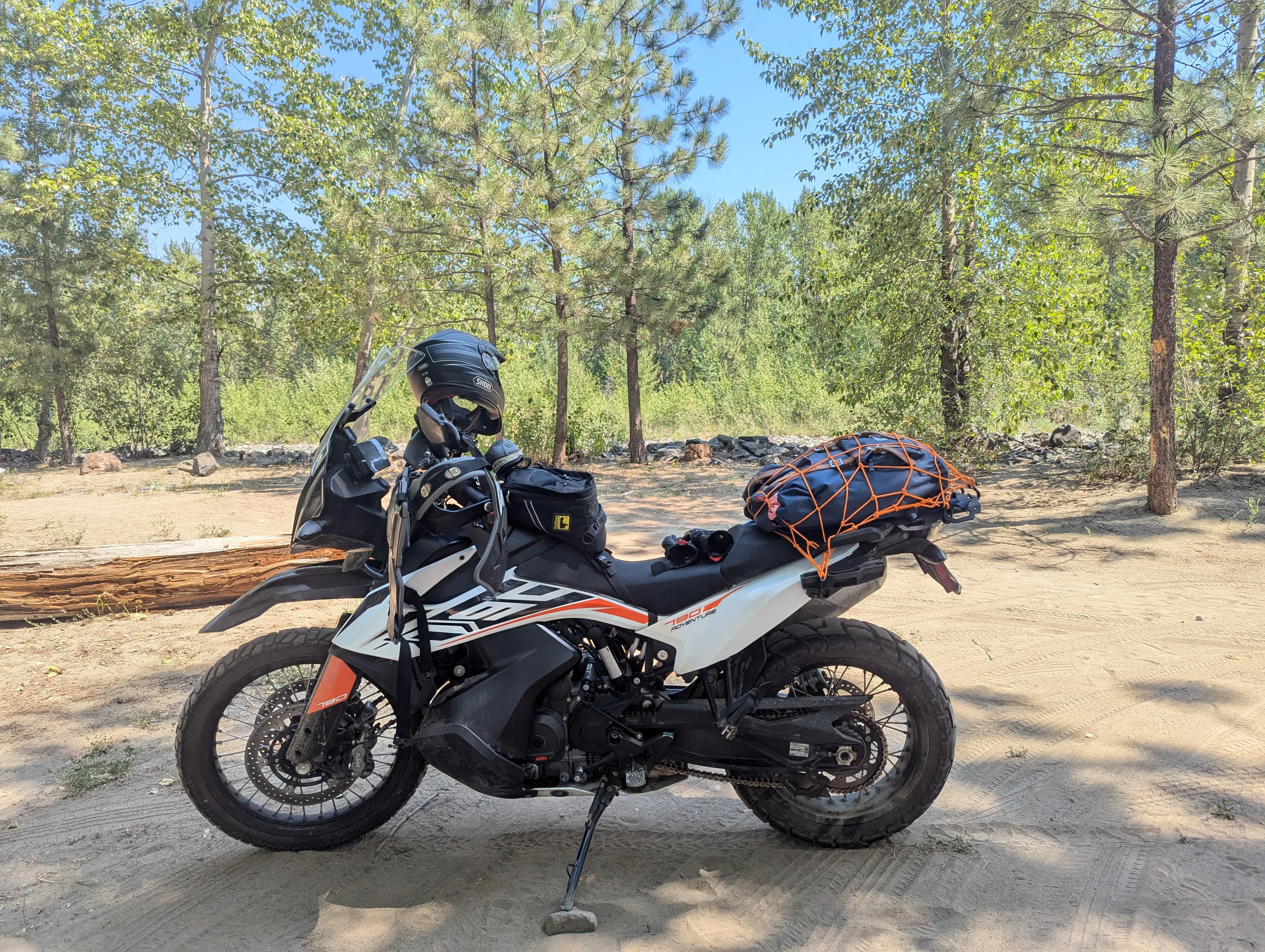 Bike parked at the sandy, wooded campsite